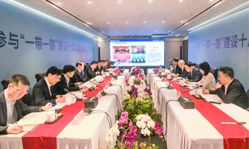 浙商參與“一帶一路”建設10周年座談會召開，陳蕾董事長受邀參會并作主題發(fā)言