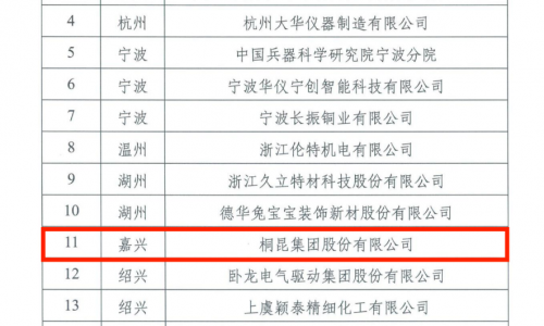 桐昆，省重點(diǎn)支持院士工作站，紡織行業(yè)創(chuàng)新示范！
