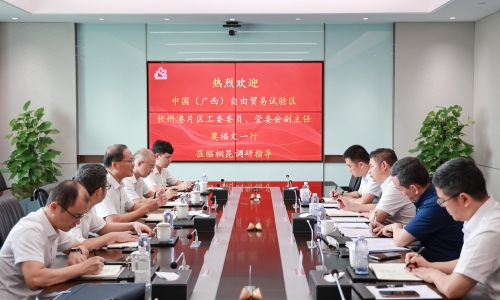 中國(guó)（廣西）自由貿(mào)易試驗(yàn)區(qū)欽州港片區(qū)管理委員會(huì)副主任、黨工委委員莫福文蒞臨桐昆調(diào)研