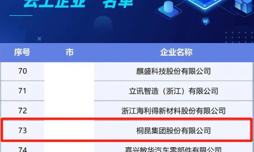 桐昆集團(tuán)入選浙江省第二批制造業(yè)“云上企業(yè)”名單