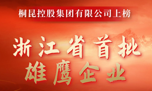 浙江省首批雄鷹企業(yè)名單出爐，桐昆成功入選！