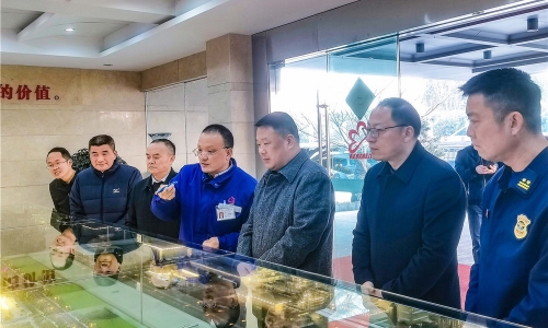 嘉興市委常委、常務(wù)副市長朱苗蒞臨桐昆嘉興石化調(diào)研