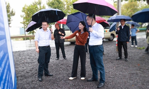 嘉興市委常委、常務(wù)副市長顏海榮蒞臨桐昆項目地調(diào)研