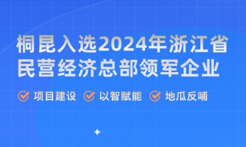 榮譽丨桐昆，浙江省民營經(jīng)濟總部領(lǐng)軍企業(yè)！